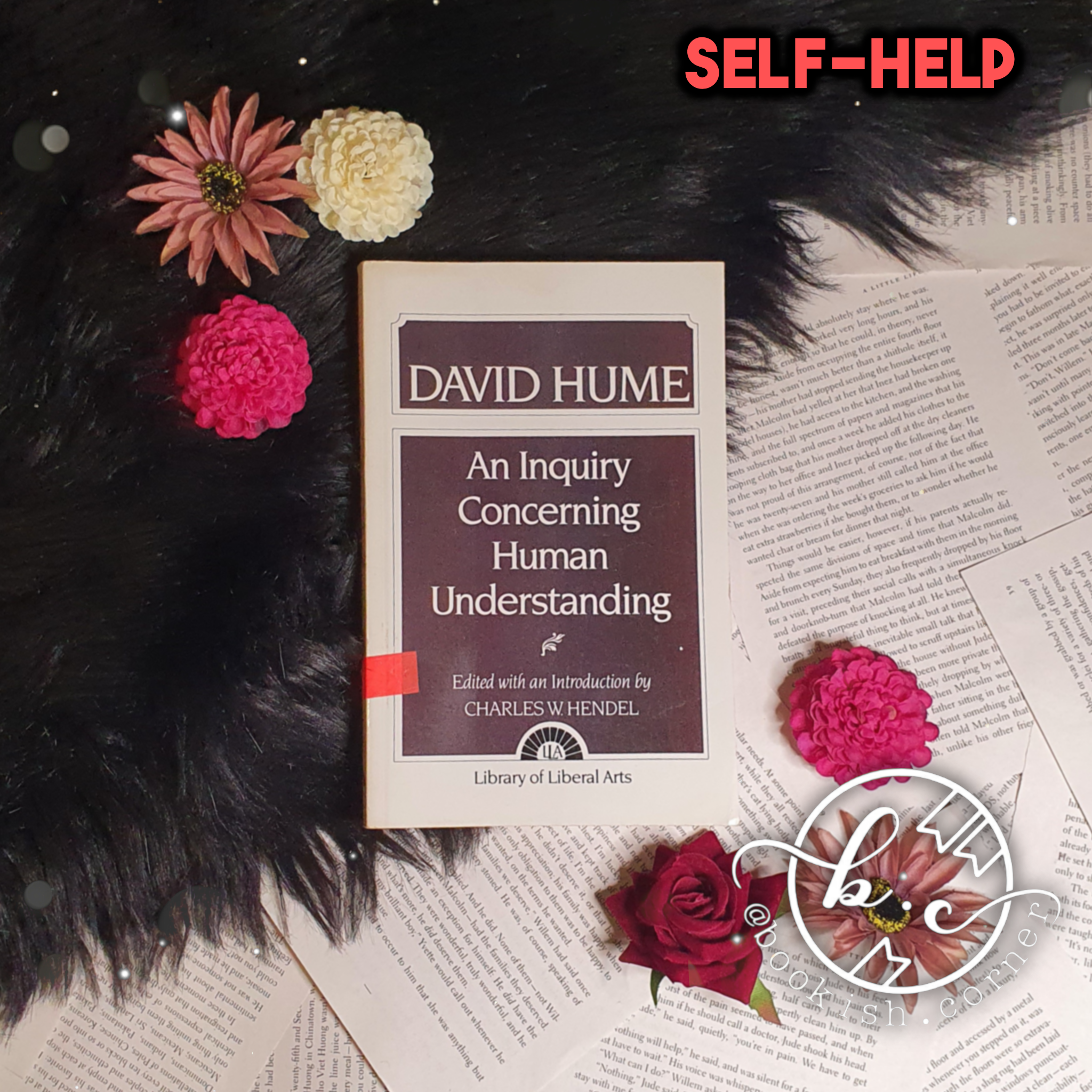 An Inquiry Concerning Human Understanding