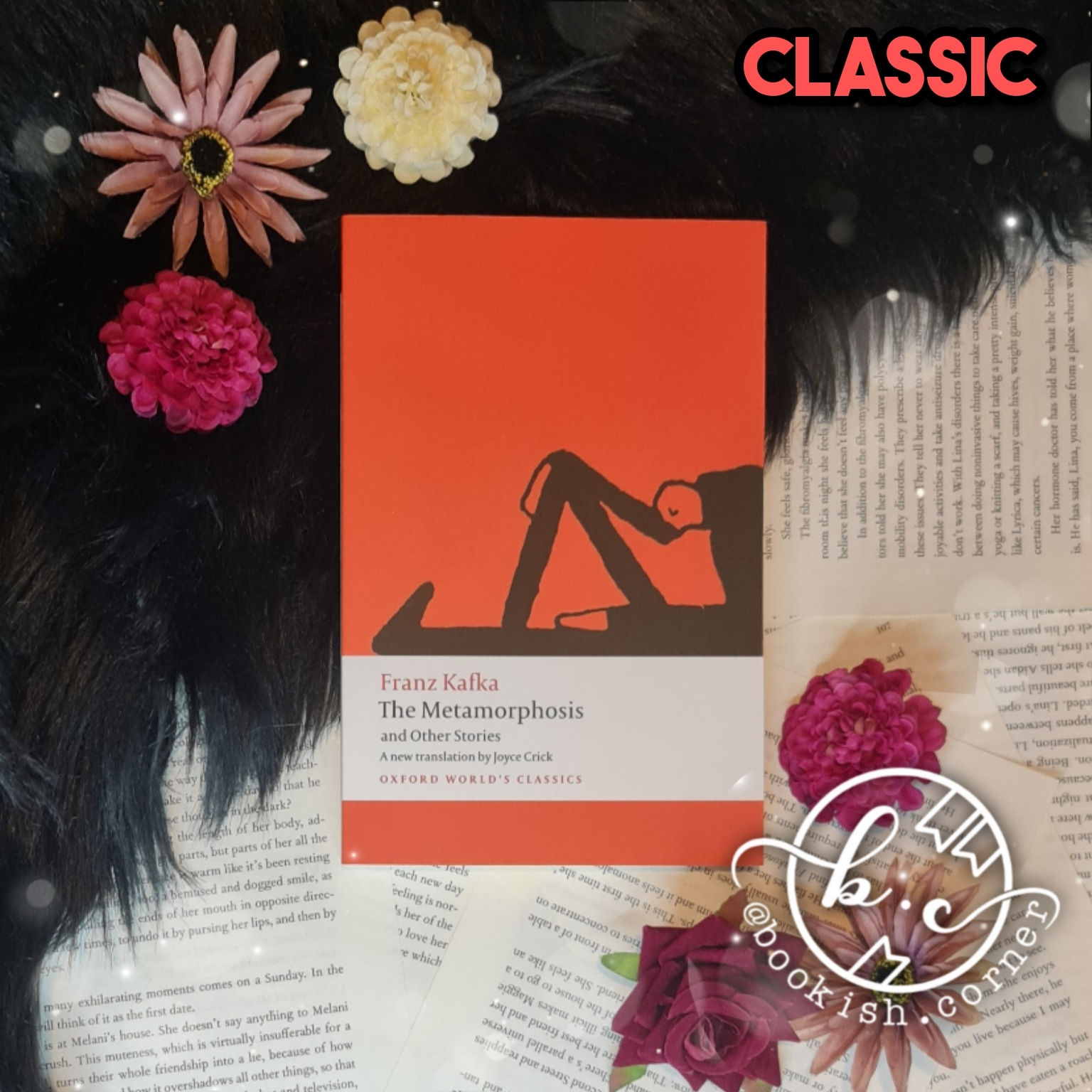 The Metamorphosis By Franz Kafka