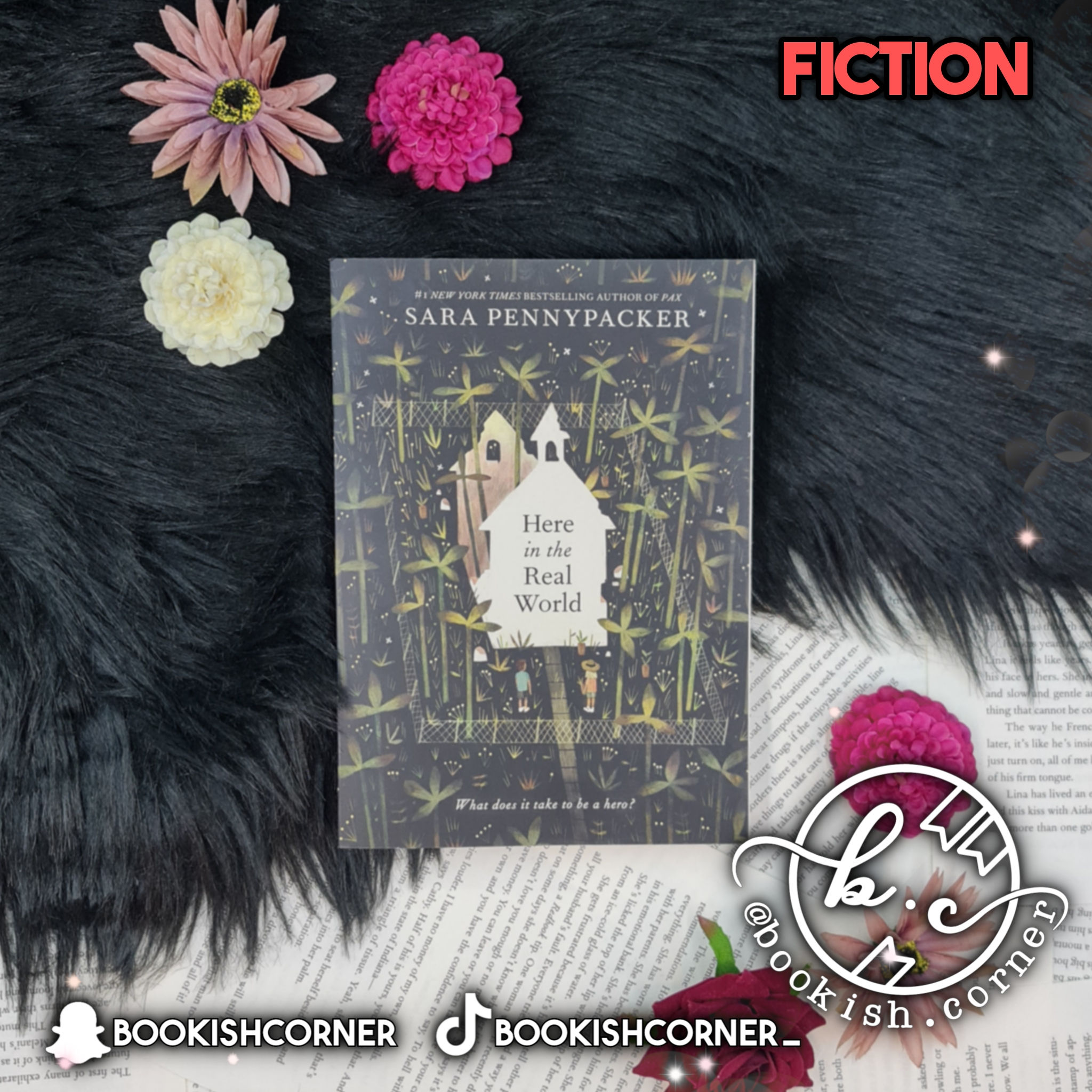 Here In The Real World By Sara Pennypacker