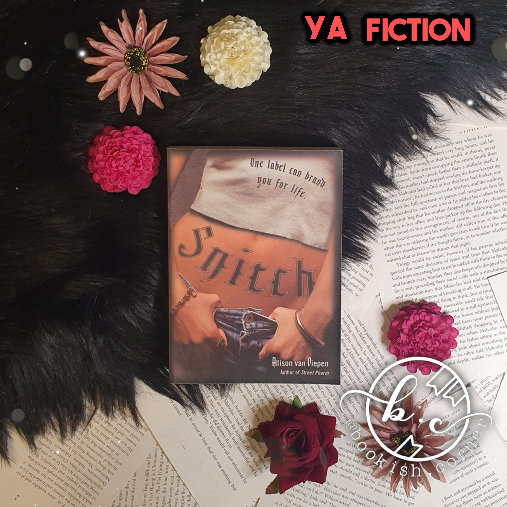 Snitch By Allison Van Diepen