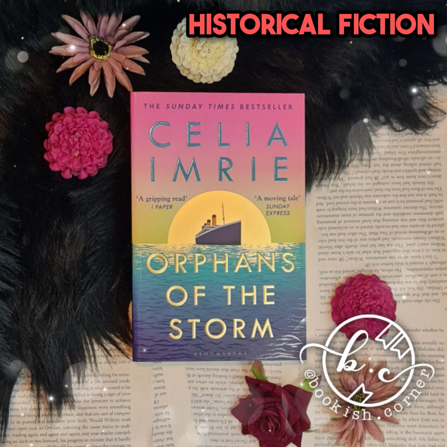 Orphans Of The Storm By Celia Imrie