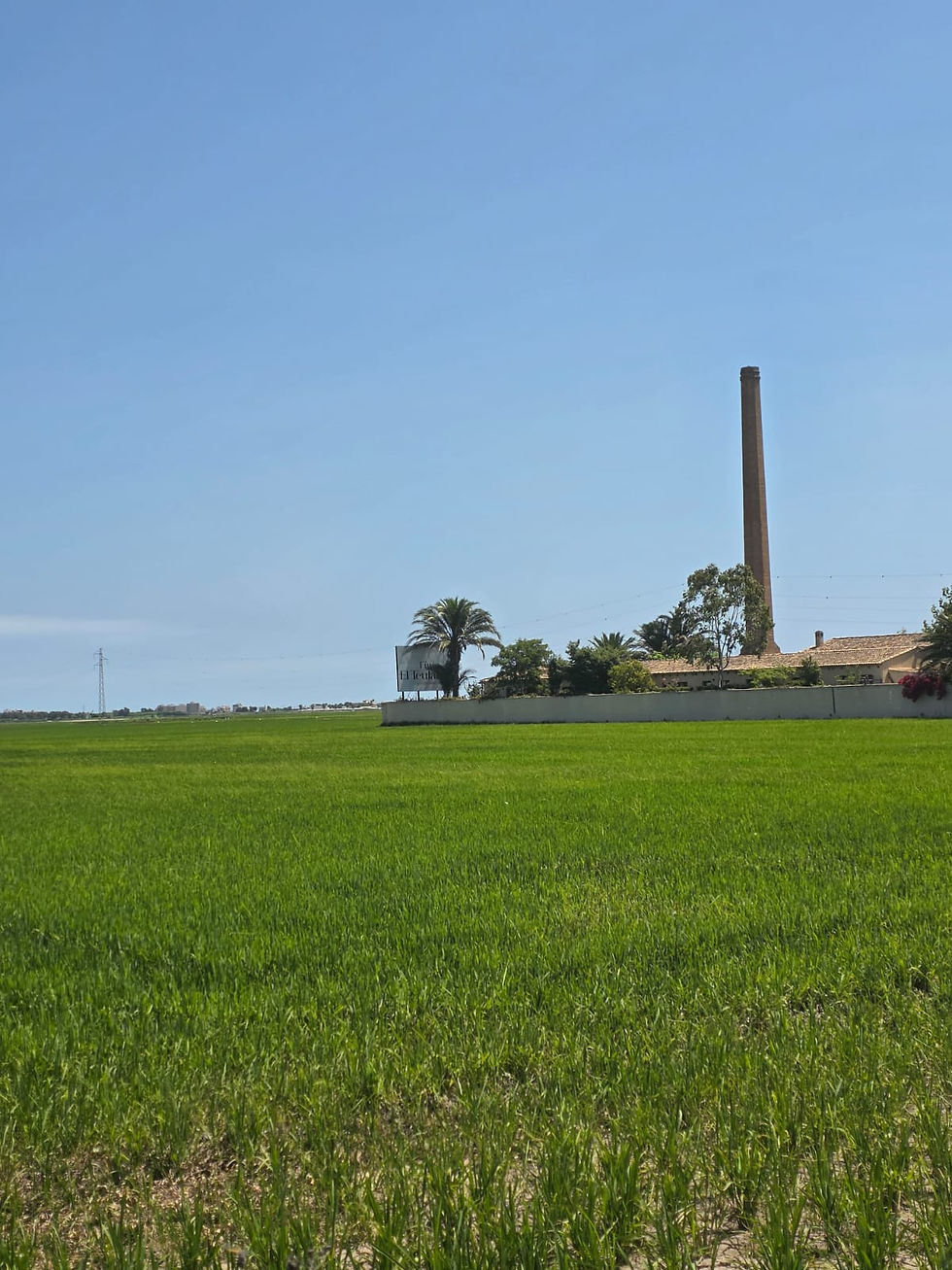Albufera Valencia Wedding