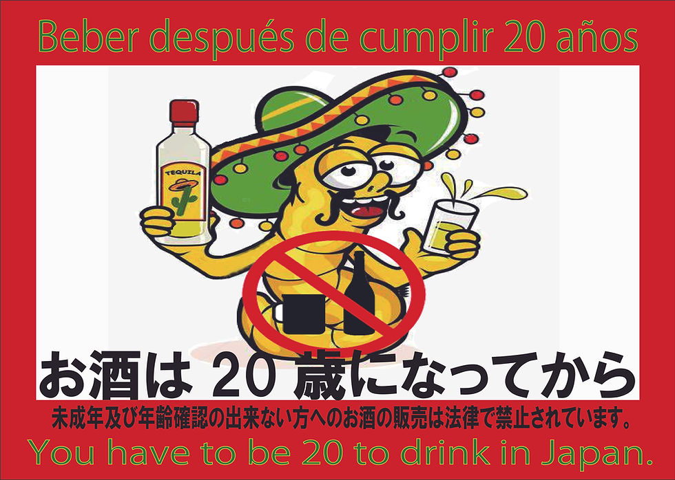 お酒は20歳デーA3.jpg