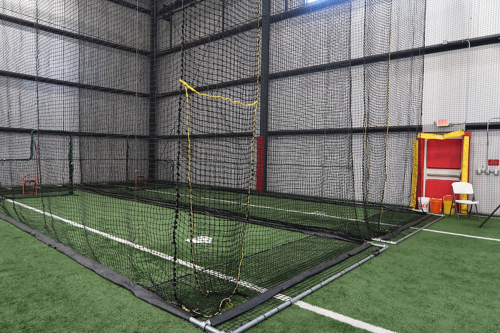 cages pic 2