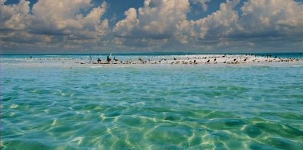 Passage-Key-Sandbar-Charter_edited_edite