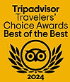 Trip-Advisor-Travellers-Choice_edited_edited.jpg