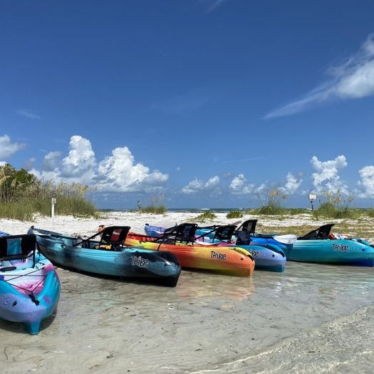 Shell Key St Pete Boat Kayak Tour