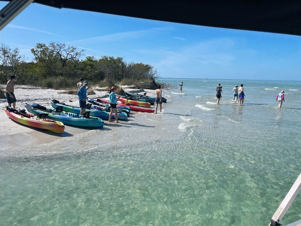 Exploring kayak tour Shell Key, St Pete
