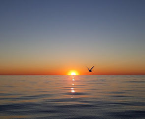 Sunset Cruise St Pete Beach