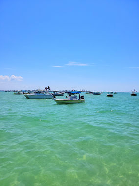Passage Key Sandbar Party on the Gulf, St Pete