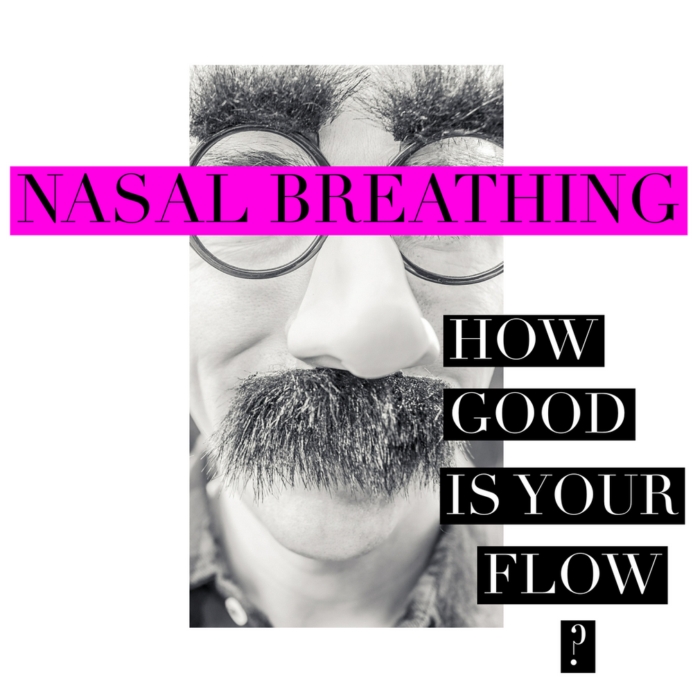 Nasal Breathing How Good Is Your Flow?