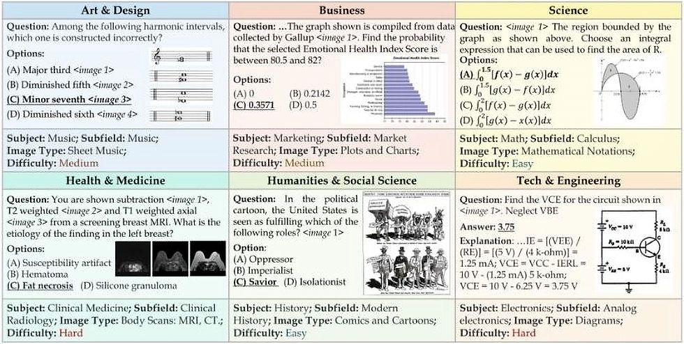 MMMU example