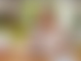 The Complete Guide to Homeowners Insurance Coverage