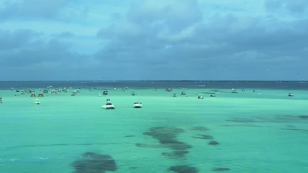 copy_A0677D67-B96D-4CE0-8CDC-3758BF0D899E.MOV