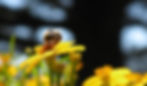2012-06-23%2018.16_edited.jpg