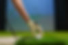 golfer-hand-with-glove-placing-ball-on-artificial-2026-01-08-08-14-18-utc.jpg