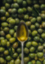 Extra Vergine Olivenöl Degustation – Showcooking, Food Pairing & kulinarische Reise