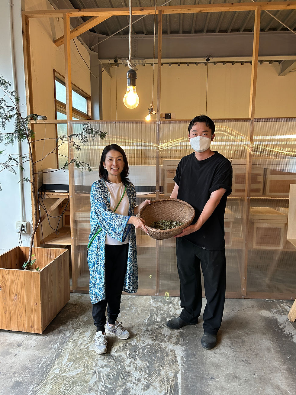 国産ハーブ「ホーリーバジル」の旅@山梨県