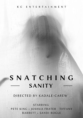 Snatching Sanity Poster.jpg