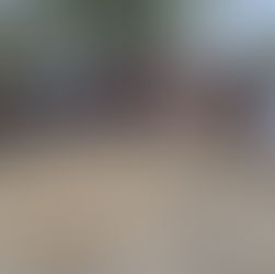 Climate-Smart Farming Brings Hope for Food Security