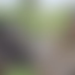 Community-led flood resilience in Southern Unity: How RSRTF helped Southern Unity reclaim hope