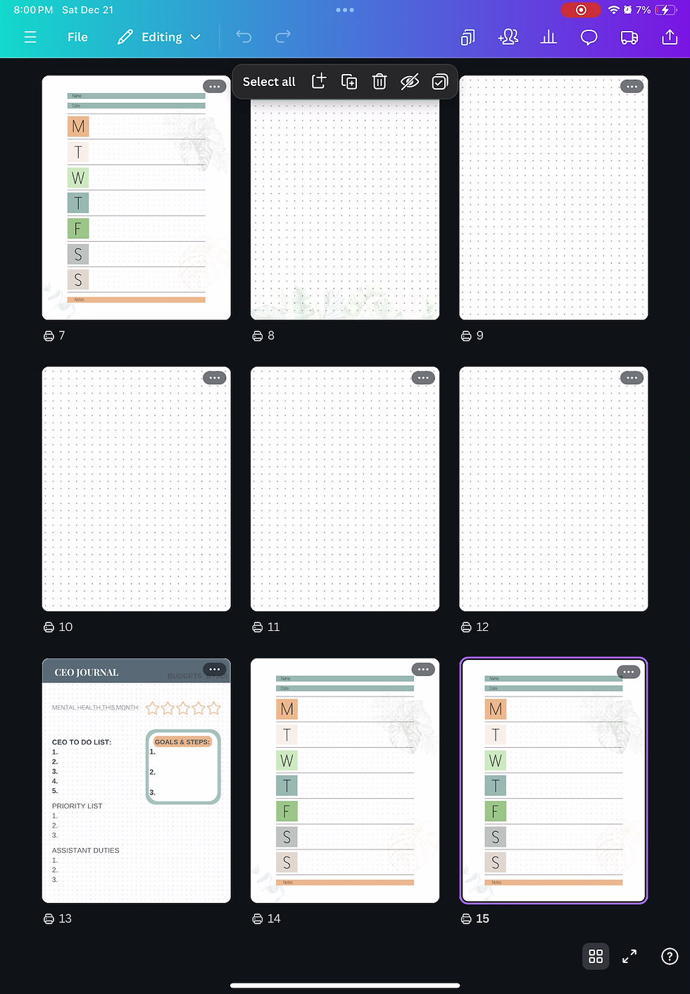 Thumbnail: CEO Journal & Weekly Planner (Mountain Air)