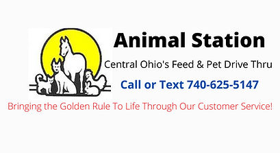 Animal Station Banner.png