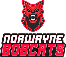 NORWAYNE BOBCATS.png