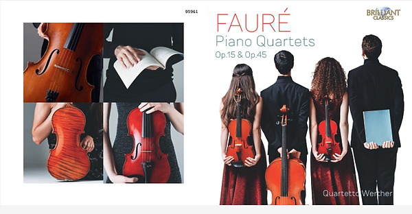 FAURE.png