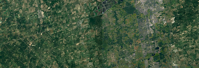 Rural King.png