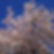 11212725_1045938362101029_24969119191074