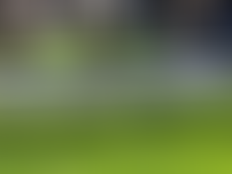 Backlit House Numbers