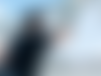 Window Cleaning Services