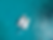 IMG_0147.PNG