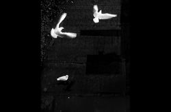 Без имени-1dd