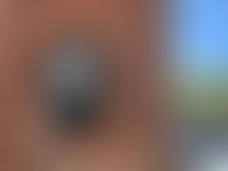 EV Chargers for Homeowners: What You Need to Know