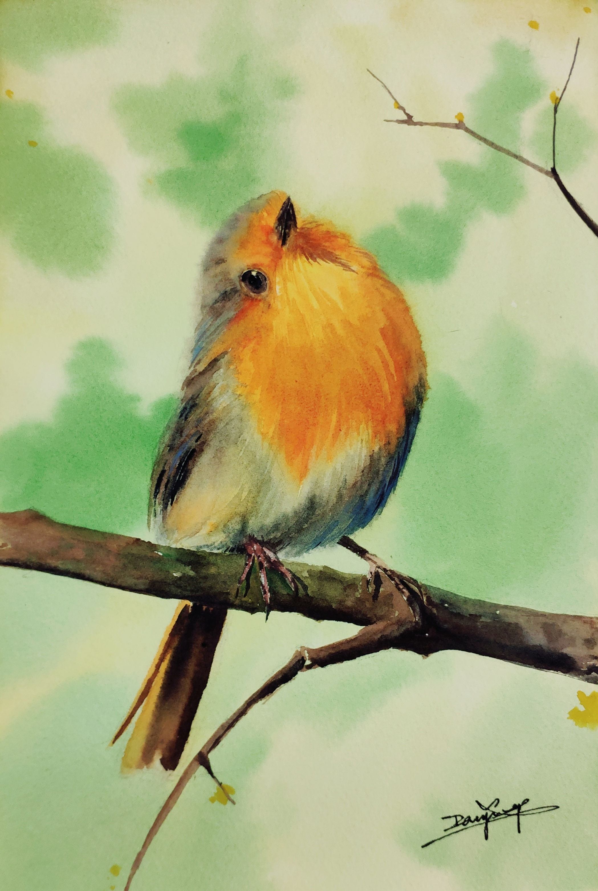 ​Robin Redbreast - I