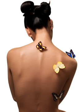 espalda mariposa ok.png