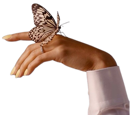 MARIPOSA B.png