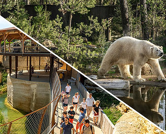 zoo de la Flèche et doué la fontaine_edited.jpg