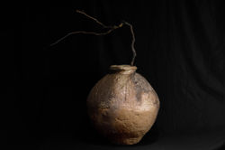 Large shigaraki jar
