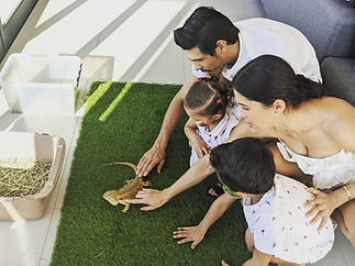 Family Event.jpg