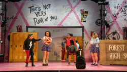 Punk Rock Girl!