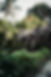IMG-20240331-WA0008.jpg