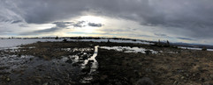 IMG_5922.jpeg