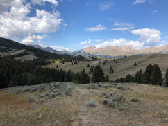IMG_3634 1.jpeg