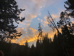 IMG_1109.jpeg