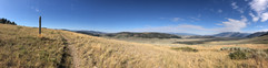 IMG_3264.jpeg