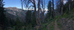 IMG_3245.jpeg