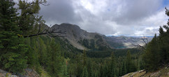 IMG_4380.jpeg